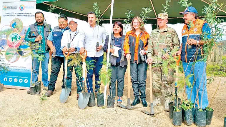 Los plantines que reverdecer&aacute;n el Bosque de la Amistad./ GOBERNACI&Oacute;N