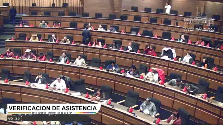 Diputados sesiona para viabilizar las Elecciones Judiciales. CAPTURA DE VIDEO