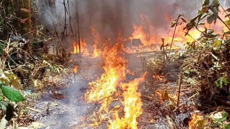 Destruyen otras 23 fábricas de cocaína en las provincias Carrasco y Chapare./ OXIGENO.BO