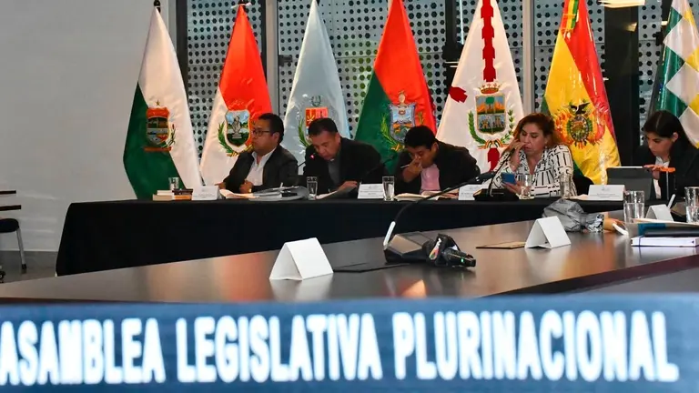 La Comisi&oacute;n Mixta de Constituci&oacute;n al momento de iniciar la reuni&oacute;n de este mi&eacute;rcoles. CAPTURA