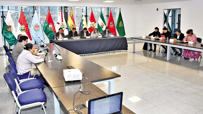 La sesión de la Comisión Mixta de Constitución de la Asamblea Legislativa./ APG