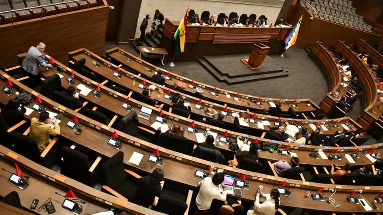 Diputados y senadores de la Asamblea Legislativa Plurinacional (ALP), durante la sexta sesi&oacute;n ordinaria del ente legislativo, APG