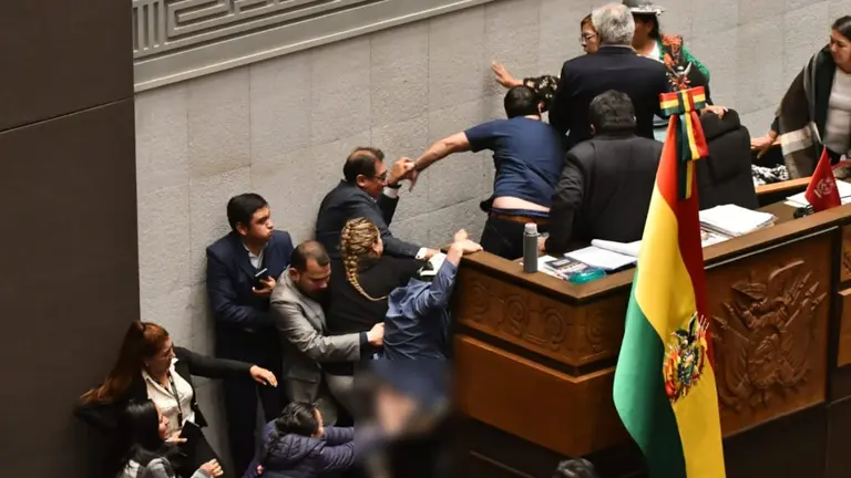 Trifulcas vergonzosas en la C&aacute;mara de Diputados. APG