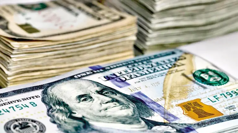 Una imagen referencial del d&oacute;lar estadounidense./ EL PROFESIONAL