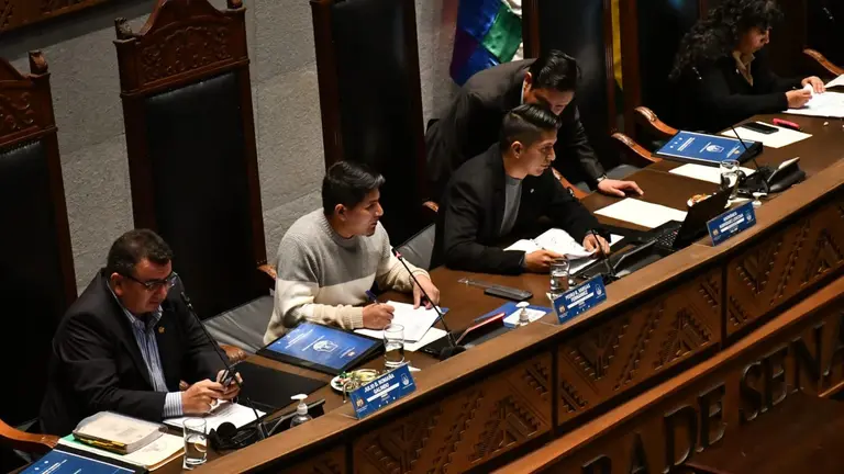 Sesi&oacute;n de la C&aacute;mara de Senadores. APG