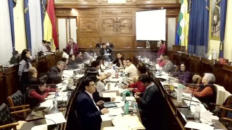 En sesión, la Comisión Mixta de Constitución./ ERBOL