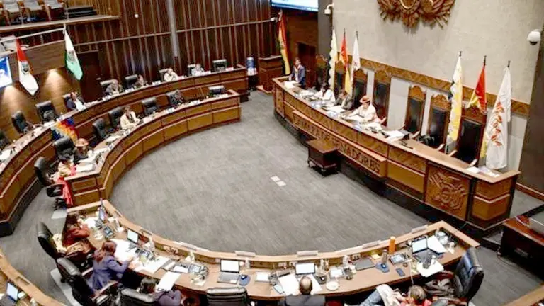 El Senado sesionó en sesi&oacute;n./ OXIGENO.BO