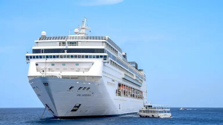 El crucero Armon&iacute;a en el que viajaron 69 bolivianos de forma irregular. Garrick Lacle