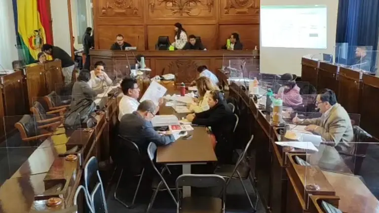 El trabajo de la Comisión Mixta de Constitución./ captura video