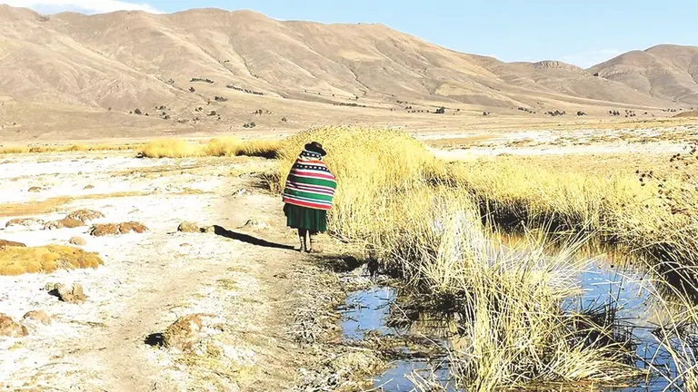 Una mujer del Ayllu San Agust&iacute;n de Pu&ntilde;aca contempla las aguas del r&iacute;o Cachimayu en Poop&oacute;, Oruro./ CENDA