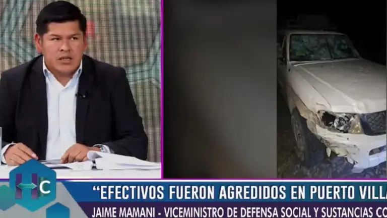El viceministro de Defensa Social y Sustancias Controladas, Jaime Mamani, durante la entrevista. BOLIVIA TV
