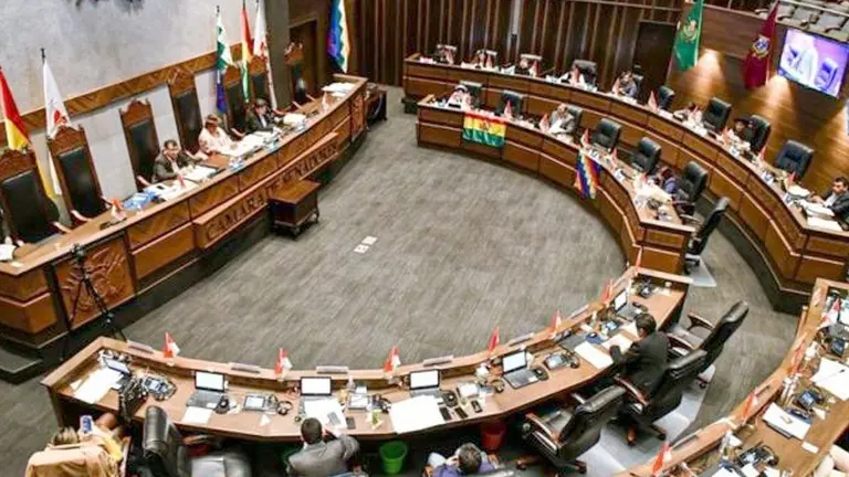 Cámara de Senadores, durante una sesi&oacute;n/ OXIGENO.BO