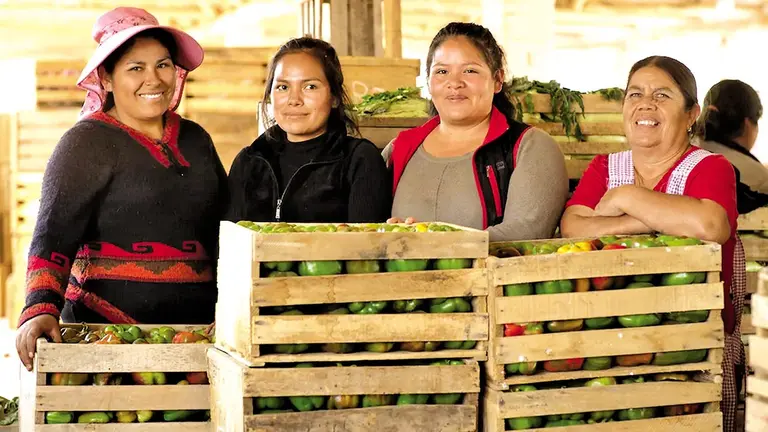 Alrededor de 2.000  comerciantes  venden sus productos  directamente a los  consumidores en el  Mercado Integración del Sur, en Cochabamba./ GABRIELA OLIVERA