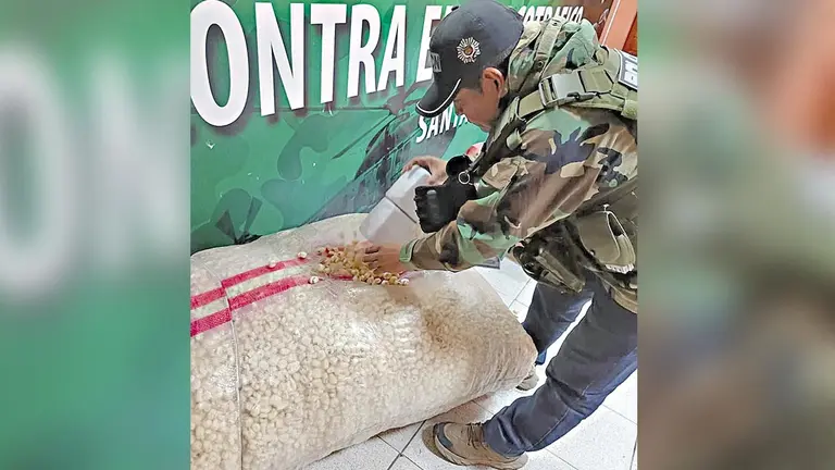 Polic&iacute;a antinarc&oacute;ticos halla droga en bolsa de pasankallas./ FELCN