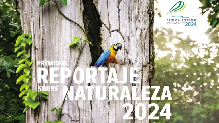 Arte promocional del &lsquo;Premio al Reportaje sobre 
Naturaleza 2024&rsquo;./ CONSERVATION INTERNACIONAL BOLIVIA