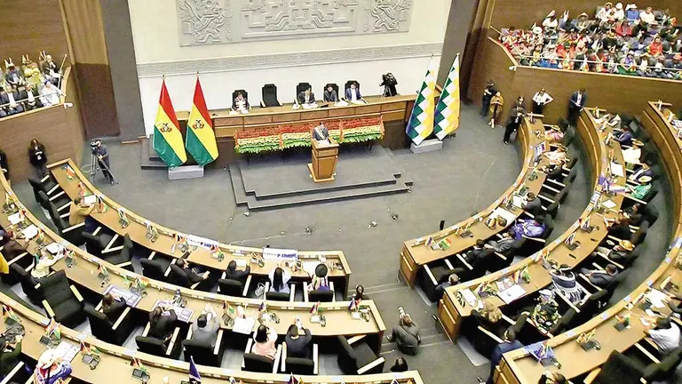 El pleno de la Asamblea Legislativa Plurinacional./ APG