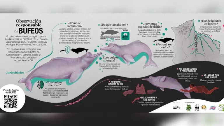 Infograf&iacute;a elaborada por Faunagua, sobre la observaci&oacute;n responsable de bufeos. FAUNAGUA