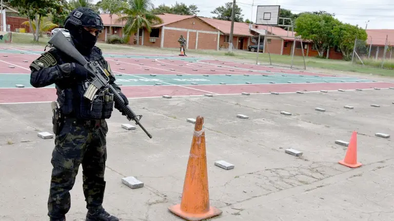 Los paquetes de droga secuestrados en el operativo./ FELCN