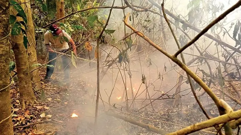 Incendio en la región del Trópico cochabambino. / APG