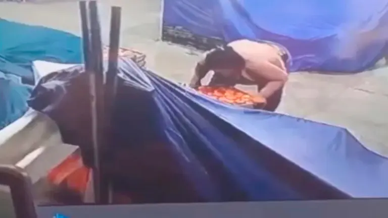 Una mujer al momento de robar una de las cajas de tomate. Captura