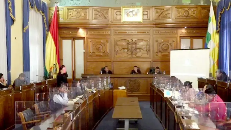 Sesión de la Comisión Mixta de Constitución./ PRENSA SENADO