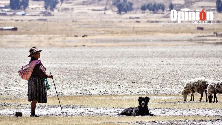Efectos de la sequ&iacute;a en una lagua de Vacas, en 2023./ DICO SOL&Iacute;S