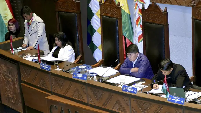 En el pleno del Senado se trata el Proyecto de Ley para que Bolivia se adhiera al Mercosur./ APG