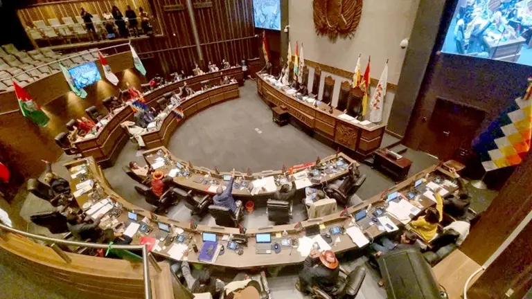 El Senado en una sesi&oacute;n pasada./ ERBOL