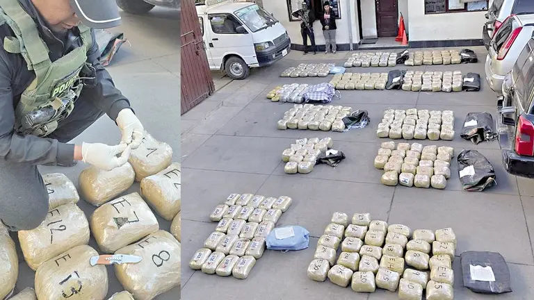 Exponen los paquetes de droga encontrados en un minib&uacute;s./ FELCN