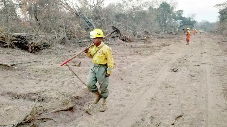 Bomberos forestales dan pelea en Roboré./ VICEMINISTERION DE DEFENSA CIVIL