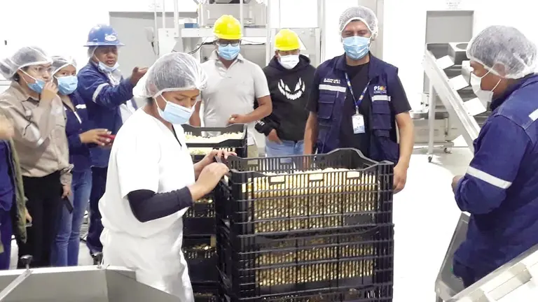 Equipamiento del Centro de Transformación de Cereales de Aiquile. / FPS