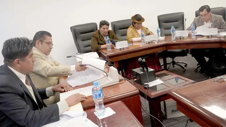La sesión de la Comisión de Constitución de la Cámara de Diputados./ ABI
