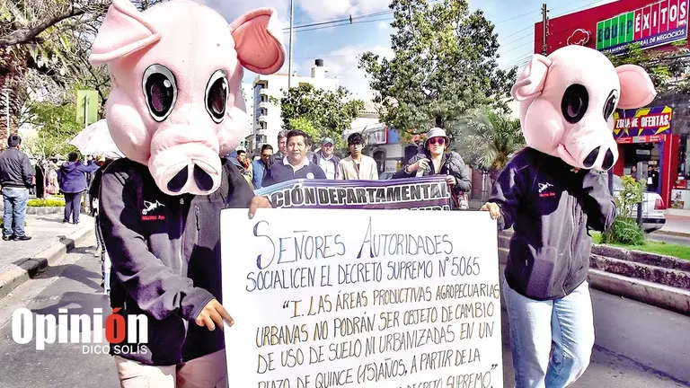 La marcha del sector porcinocultor, este 20 de julio./ DICO SOL&Iacute;S