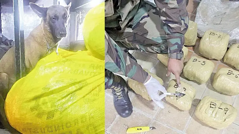 El can Dominic halla paquetes de droga en un bus que iba de Cochabamba a Santa Cruz./ FACEBOOK JAIME MAMANI