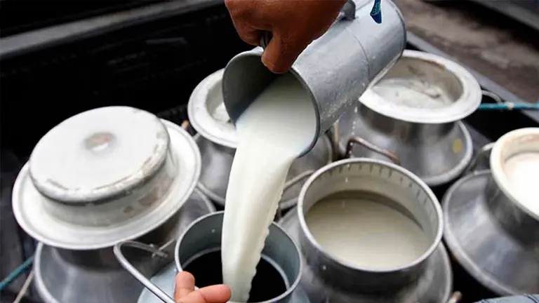 Imagen ilustrativa de la leche./ TOMADA DE ERBOL