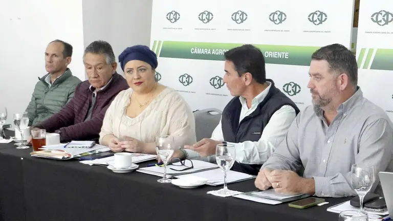 Reunión de la CAO con la ministra de la Presidencia, María Nela Prada./ APG