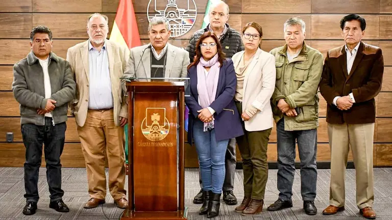 Integrantes de la Comisión Especial que investiga los hechos del 26 de junio por la toma militar de plaza Murillo./ PRENSA SENADO