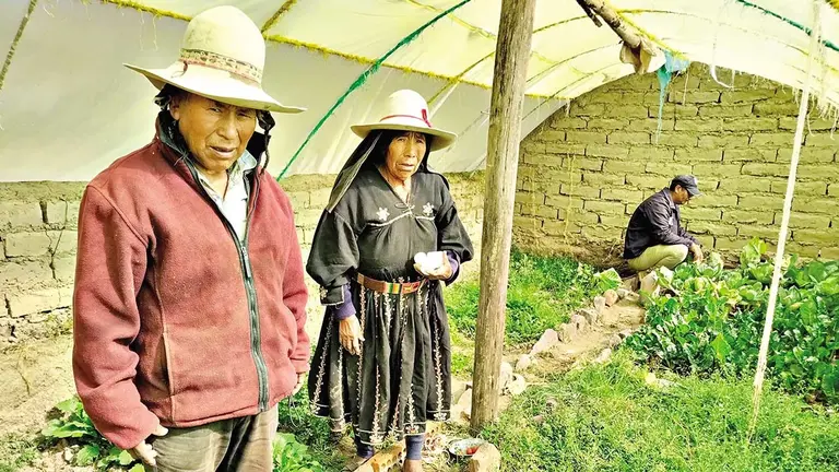 Una huerta familiar para promover las mejoras en nutrición, autoestima y actividad física./ FJS