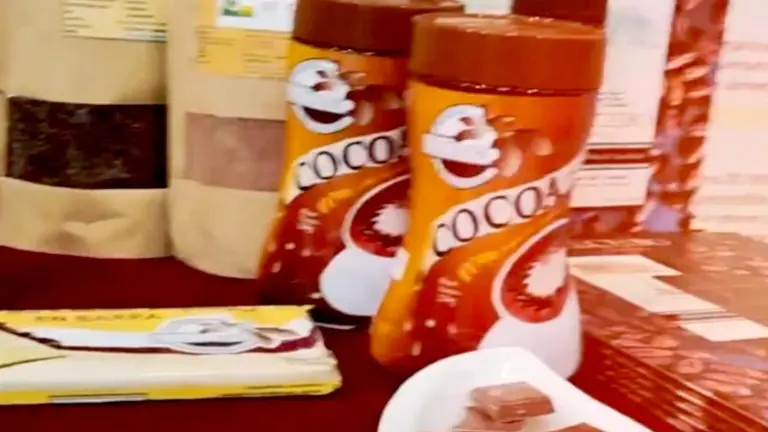Cerca de 1.000 kilos de cacao orgánico en polvo y cocoa orgánica en polvo serán exportados a Chile./ ABI