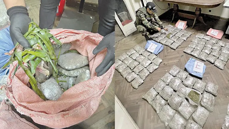 Hallan 120 paquetes
de marihuana 
ocultos en bolsas
de verduras./ FELCN