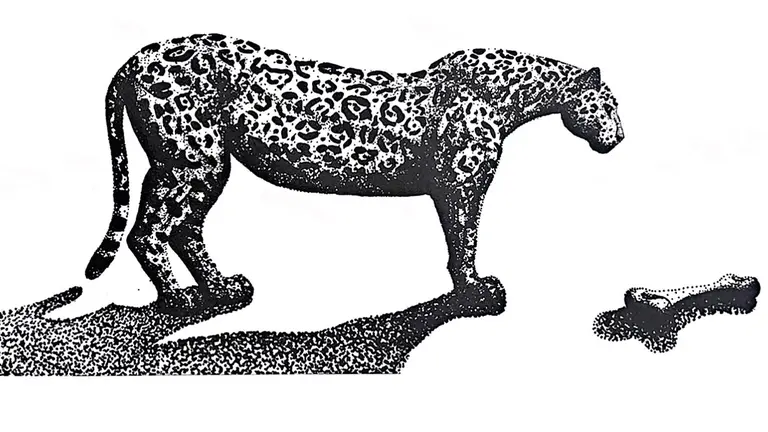 Una obra litogr&aacute;fica que estar&aacute; en exposici&oacute;n, titula "La casa ed los jaguares"./  CORTES&Iacute;A