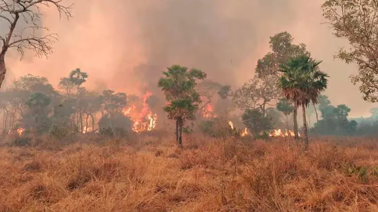 Incendio en San Mat&iacute;as, el mismo no pudo ser sofocado desde el 22 de junio de 2024 hasta la fecha, 3 de septiembre del mismo a&ntilde;o. ANMI San Mat&iacute;as