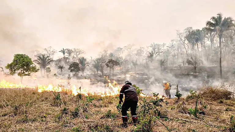 Panorama desalentador que han ocasionado los incendios forestales en Santa Cruz./ GOBERNACI&Oacute;N DE SANTA CRUZ