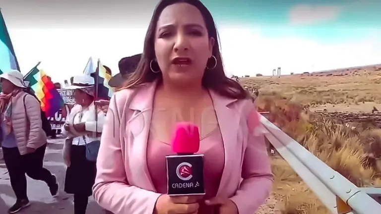 La periodista Irene Torrez aparece reportando la marcha en la cual fue 
agredida y despojada de una credencial, el martes 17 de septiembre.  Captura Cadena A