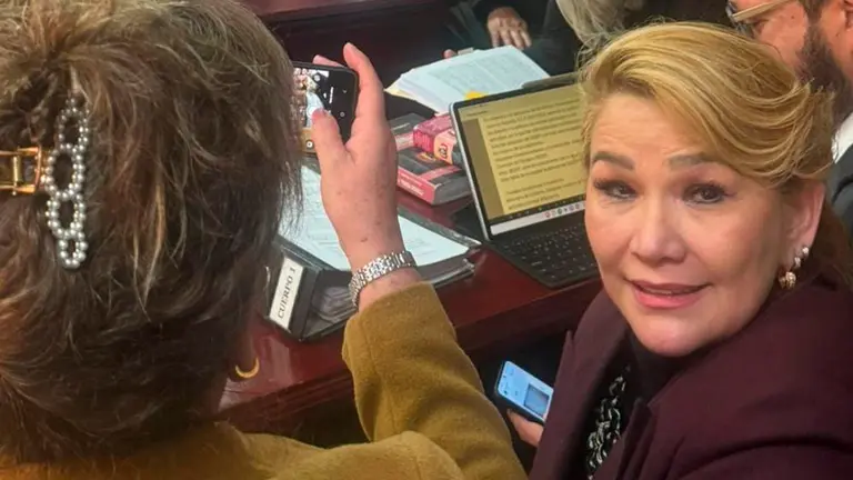 La expresidenta Jeanine &Aacute;&ntilde;ez./ APG