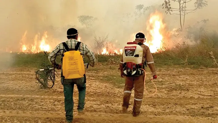 Una imagen de un incendio forestal en Santa Cruz./ APG