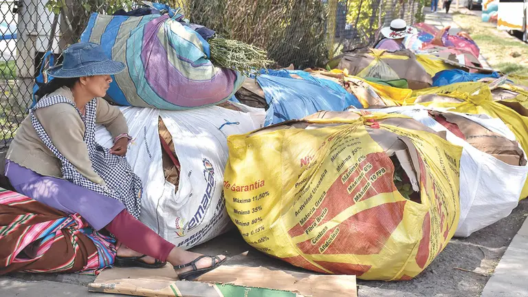 Una floricultora junto a la producci&oacute;n sin poder salir de Cochabamba. / DICO SOL&Iacute;S