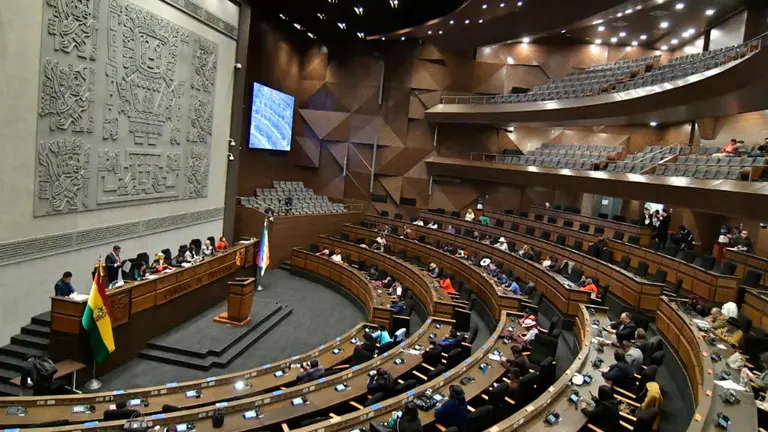 Sesi&oacute;n realizada en la C&aacute;mara de Diputados. APG