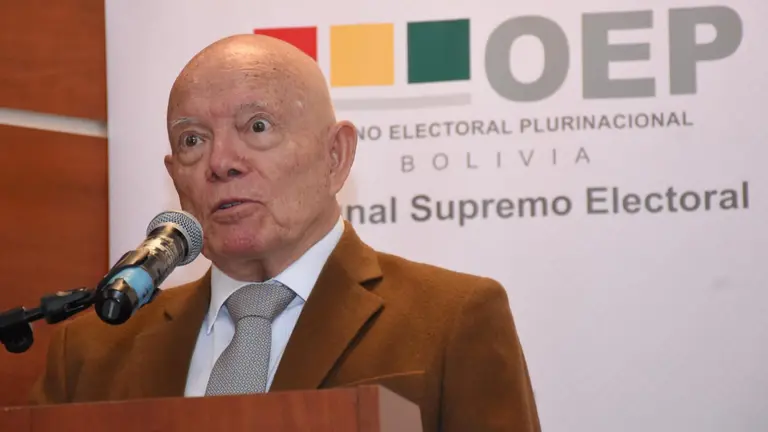 El presidente del TSE, &Oacute;scar Hassenteufel. APG