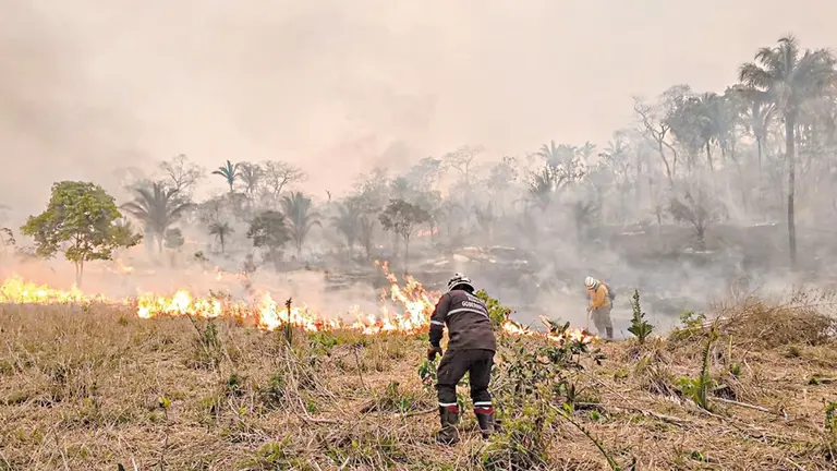 Los incendios afectaron millones de hect&aacute;reas en Santa Cruz./ GOBERNACI&Oacute;N SANTA CRUZ